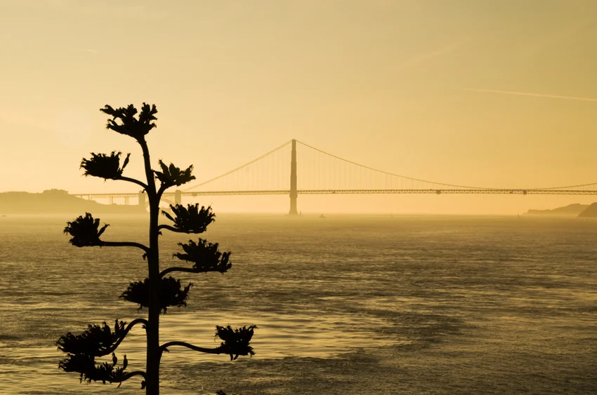 istockphoto