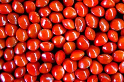 red pea seeds<br> source: istockphoto <br> Used under license from istockphoto.com