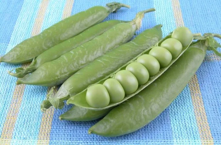 peas in the pod<br> source: istockphoto <br> Used under license from istockphoto.com