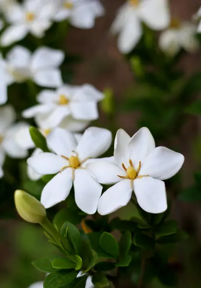 image used under license from istockphoto