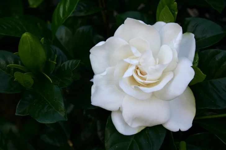 image used under license from istockphoto