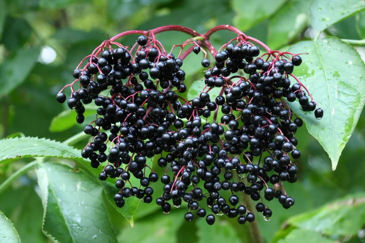 www.istockphoto.com