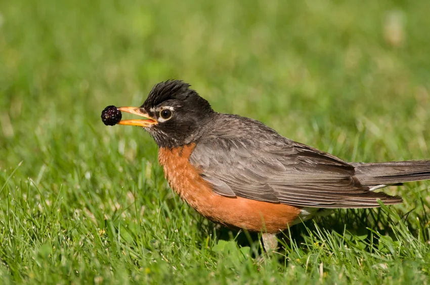 www.istockphoto.com