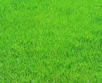 Green grass; used under license from Istockphoto.