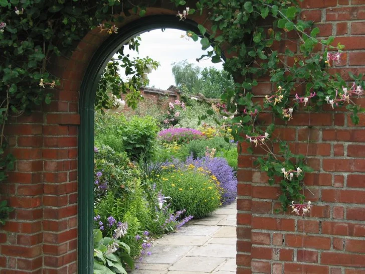 Honeysuckle Vine Over Doorway; source iStockphoto.com; permission License