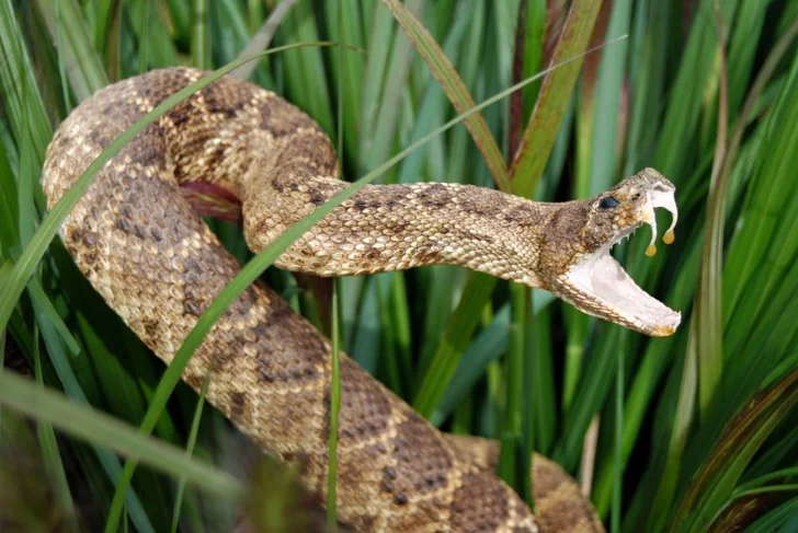 istockphoto.com