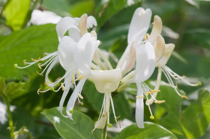 istockphoto.com