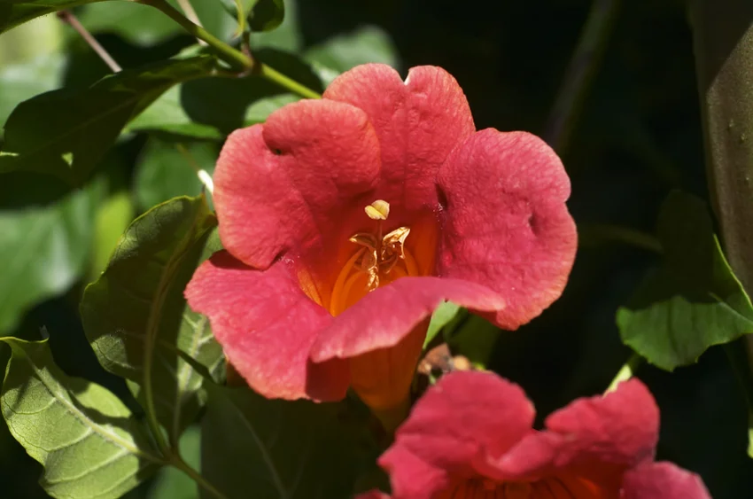 istockphoto.com