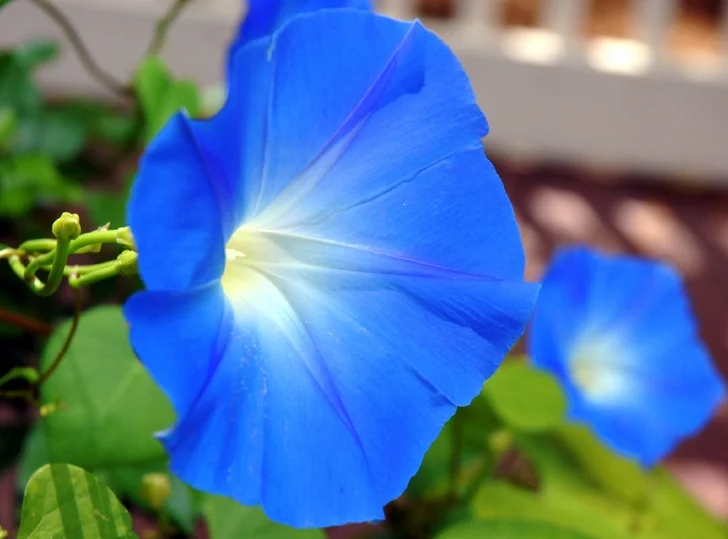 istockphoto.com