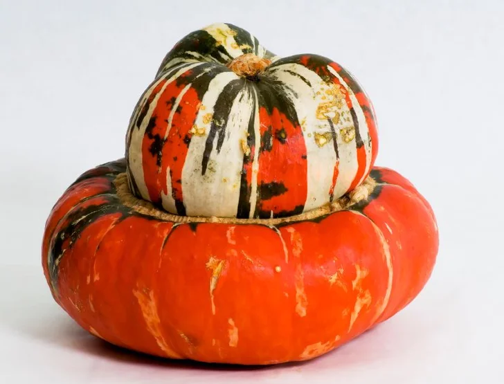 Turban Squash, istockphoto.com