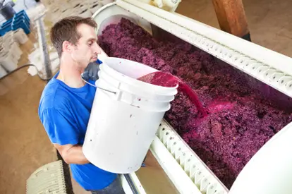 winemaking