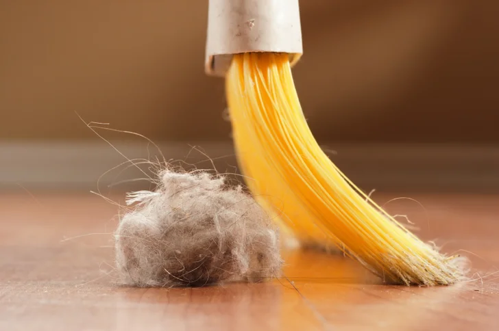 sweeping dust bunny with broom