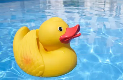 Rubber duck in pool