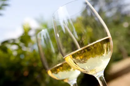 white wine in glasses
