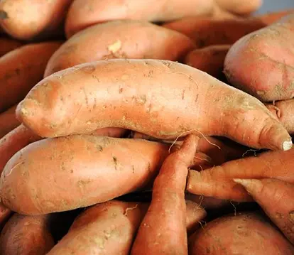 Yams; used under license from Istockphoto.