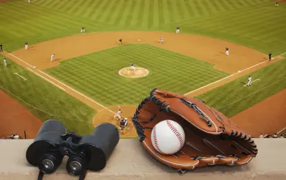 Afternoon at the ball park