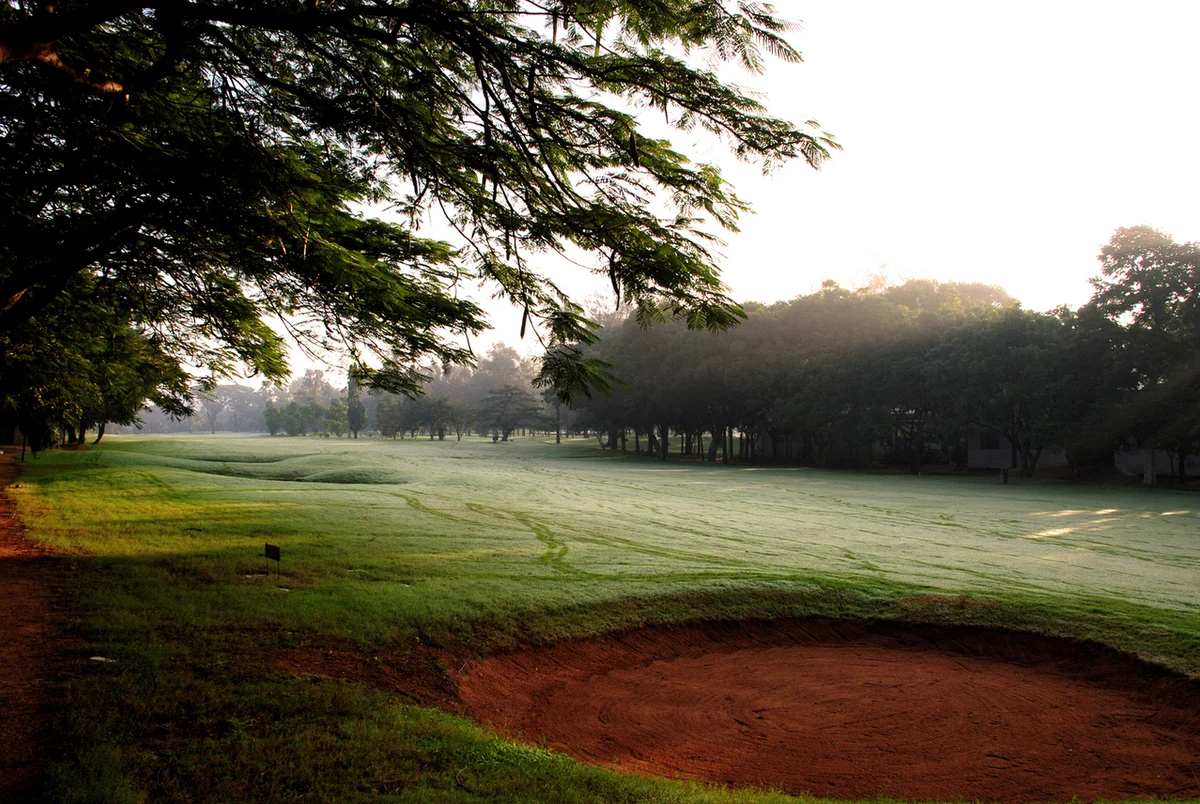 golf course rough and bunker