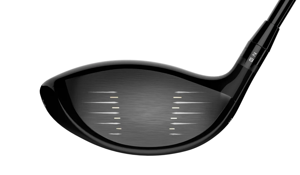 Face of the Titleist TS1 Driver