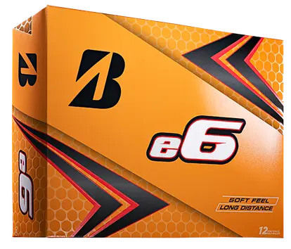 Bridgestone 2021 e6 Golf Balls