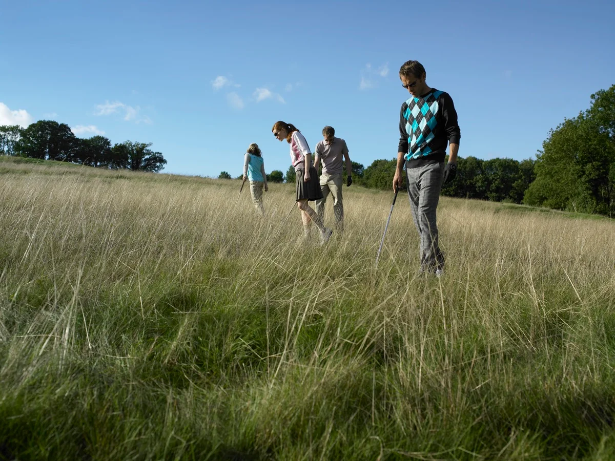 golfers look in tall grass