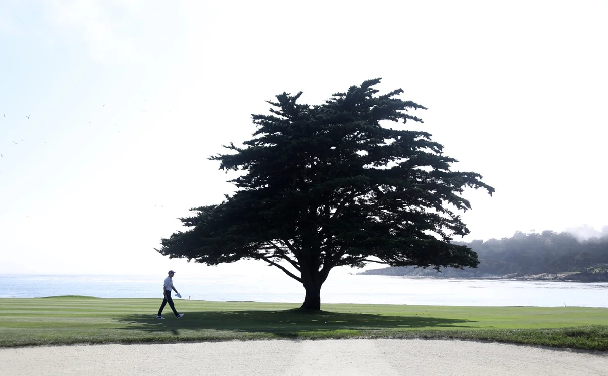 golfer walks the 18th hole at pebble beach