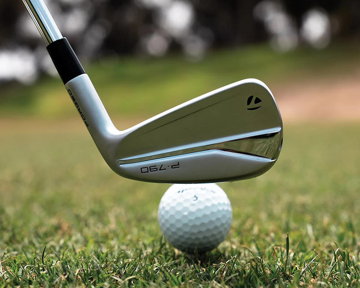 back view of taylormade p790 iron