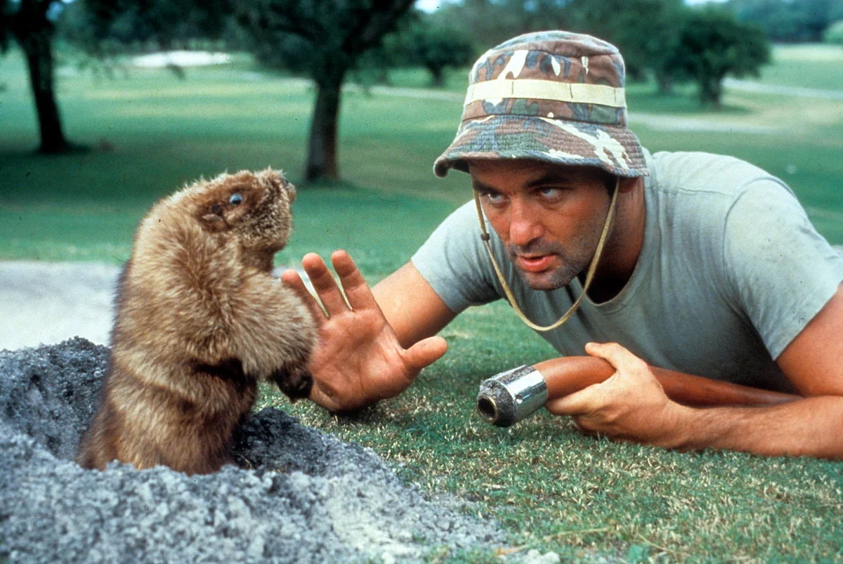 Carl Spakler from the 1980 film Caddyshack