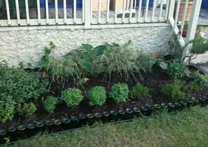 Bottle Lined Herb Garden by Stacey Greenberg http://www.memphisflyer.com/HungryMemphis/archives/2010/07/06/staceys-herb-garden