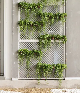 Creative wall garden