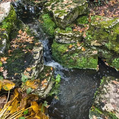 rocky stream