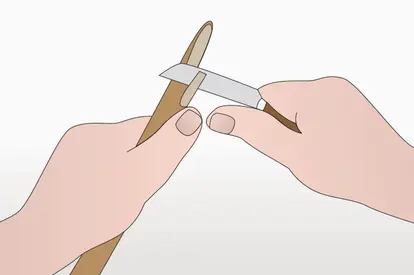 Whip graft step 3