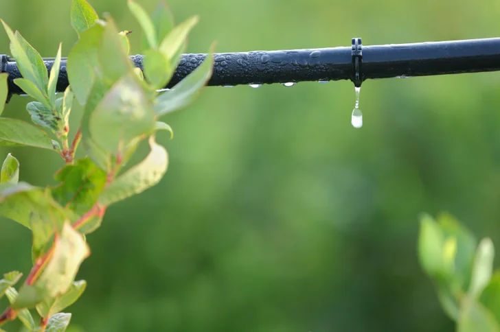 drip emitter