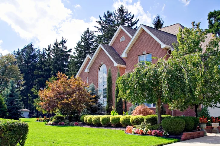 Formal Hedge and Trees