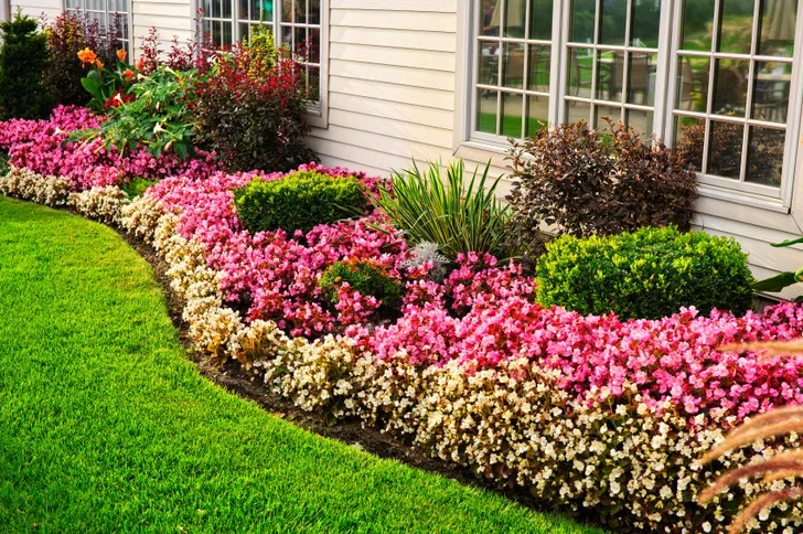 Flowering Border