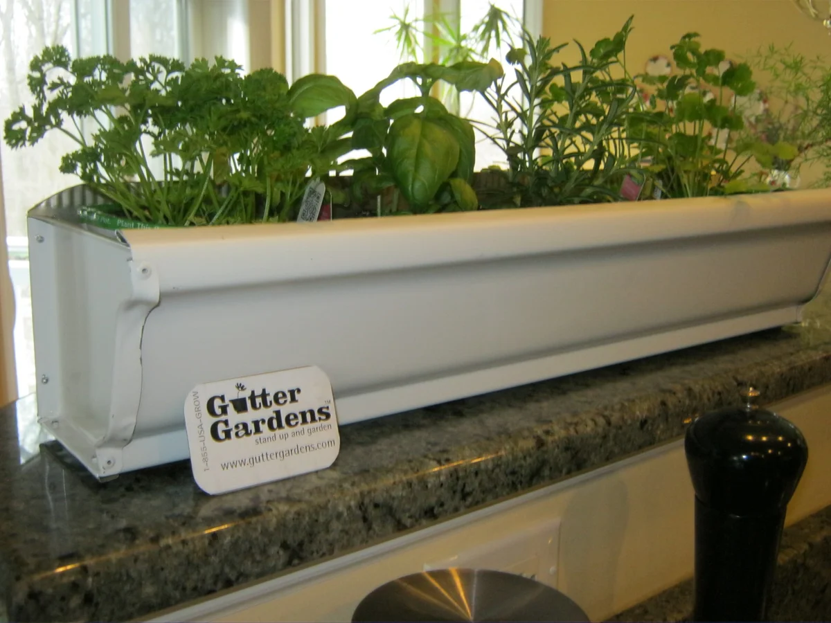 herb rain gutter garden
