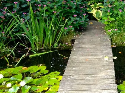 water garden