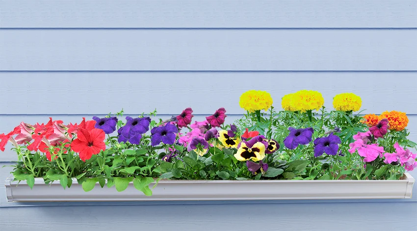 Flower garden