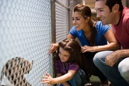 Family at an animal shelter