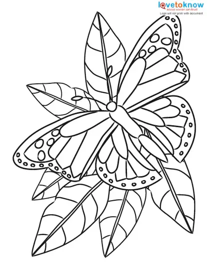 Butterfly coloring pages 1