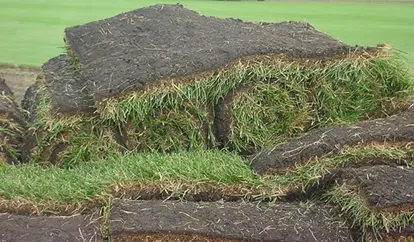 sod rolls