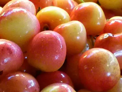Rainier Cherries