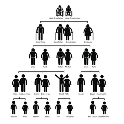 Family tree genealogy pictogram
