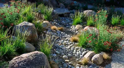 Desert rock garden http://gracedesignassociates.com/