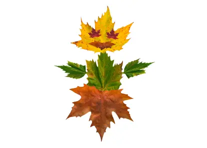 Leaf art
