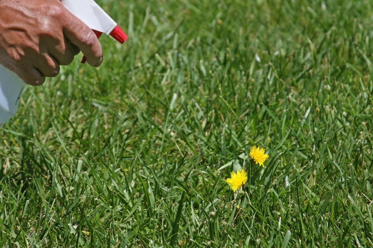 weed killer