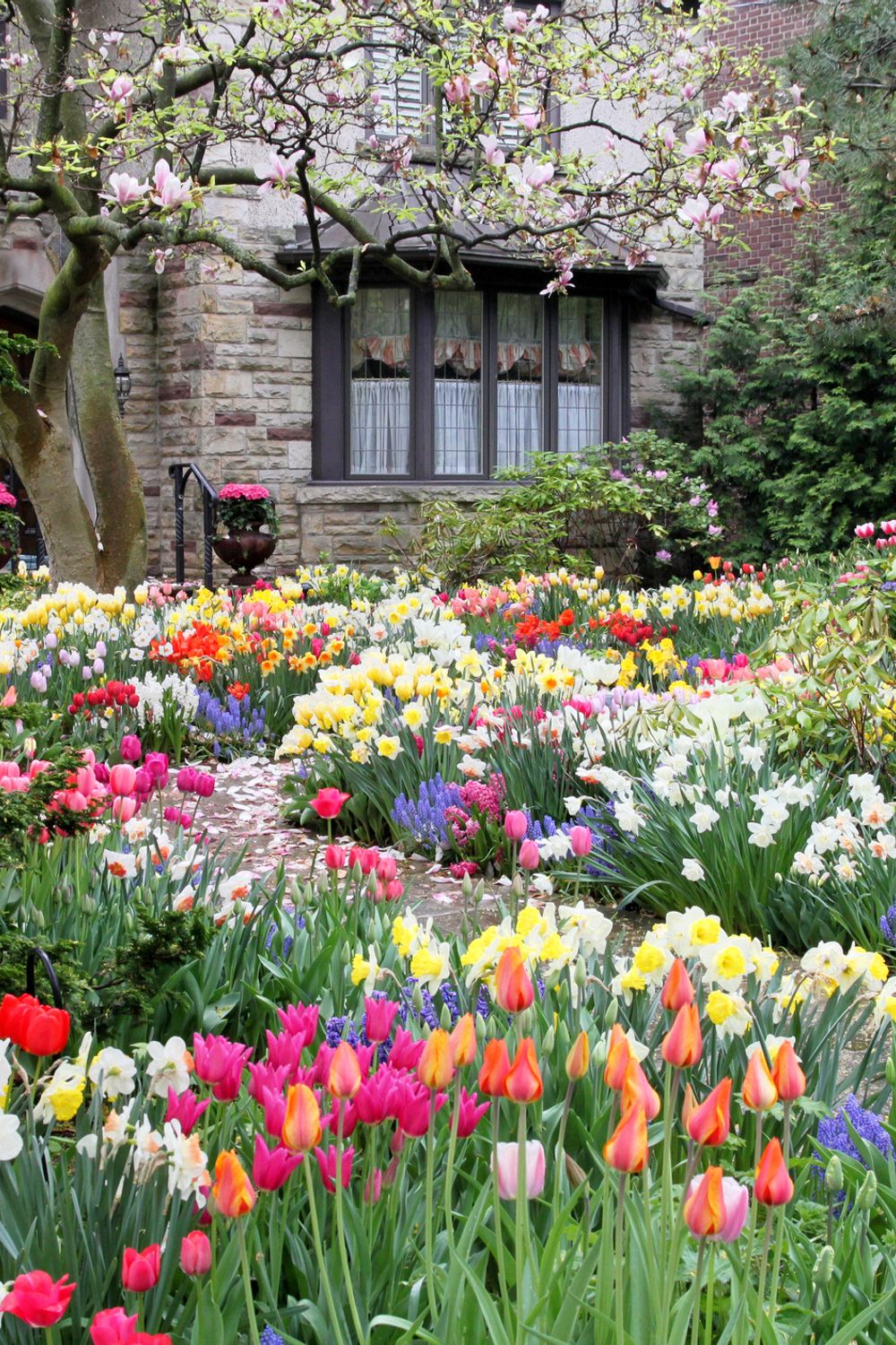 Year-Round Bloom: A Guide to Flowers by Month
