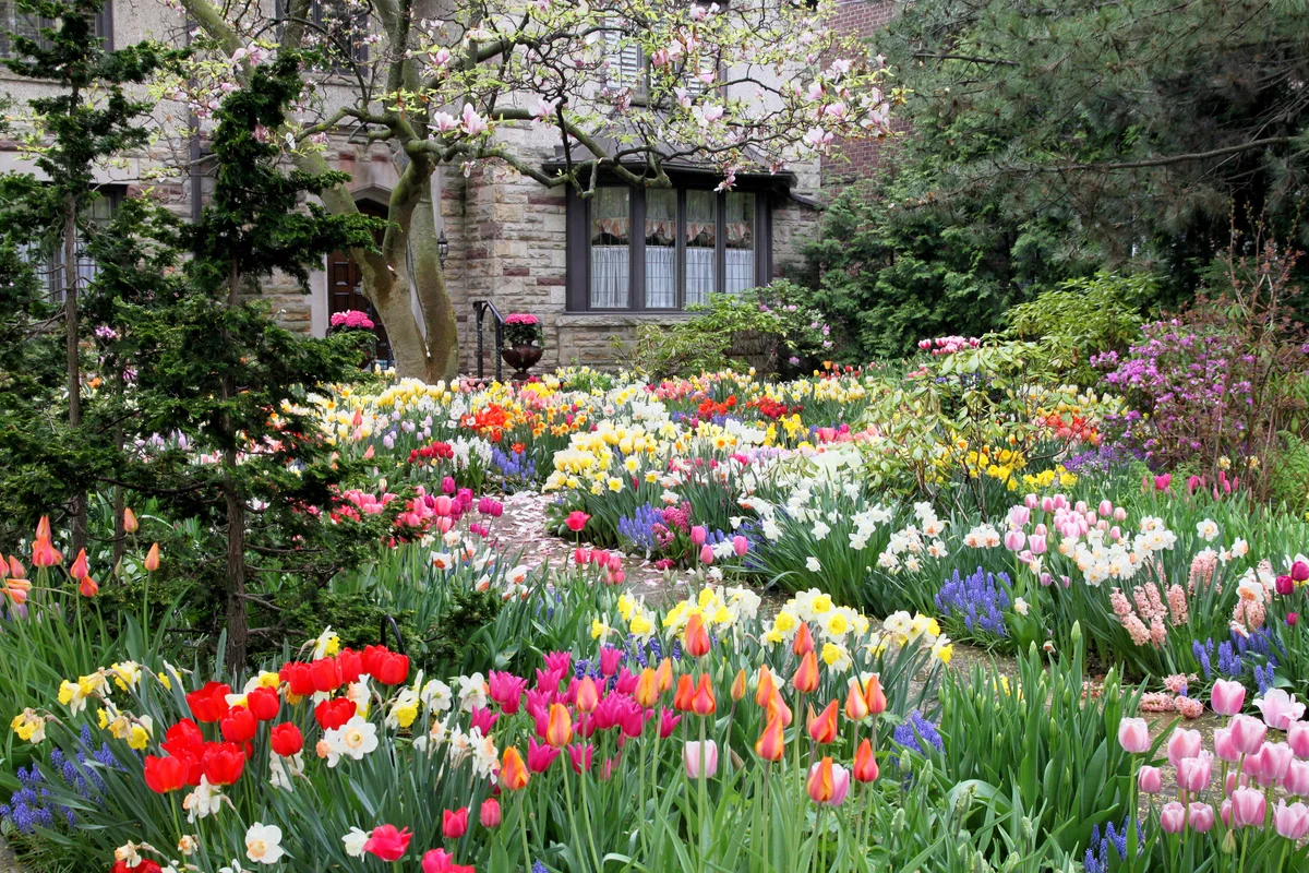 spring garden