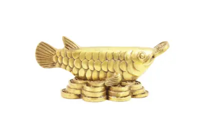 Feng Shui Arowana
