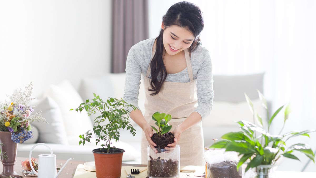 led house plant Fluora Floor Plant | Elevated Mood Lighting main image 1