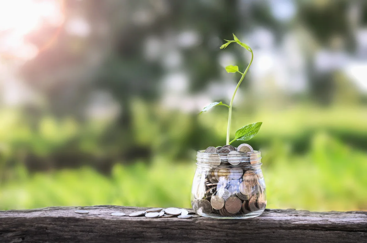 money and small plant in jar